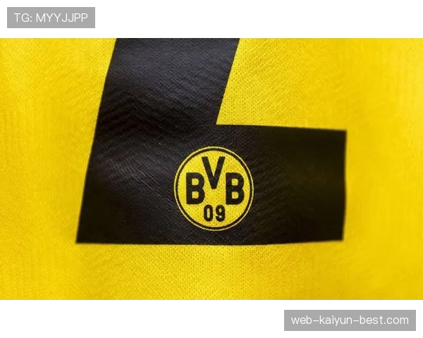 多特蒙德再遭失利，体系问题逐步反映至赛季走势