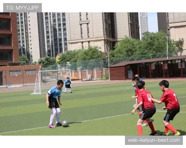 篮球开球规则解析：如何正确执行后场开球与发界外球
